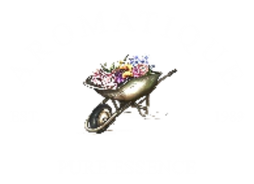 aromatique.shop